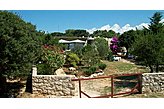 Alloggio presso privati Novalja Croazia